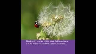 Irelands National Biodiversity Conference launch video by Minister of State Malcolm Noonan TD