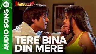 Tere Bina Din Mere - Full Audio Song  Jimmy Sherigill & Neha Dhupia  Rangeelay