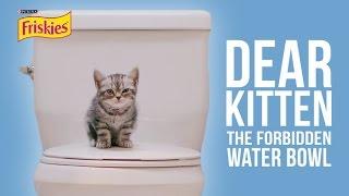 Dear Kitten The Forbidden Water Bowl