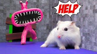 Hamster y el laberinto de los amigos del arcoíris Episodio 2 - RAINBOW FRIENDS