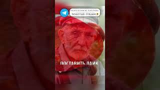 У вас не хватит ВЁДЕР для томатов Секретная подкормка #овощи #огород #удобрение #подкормка