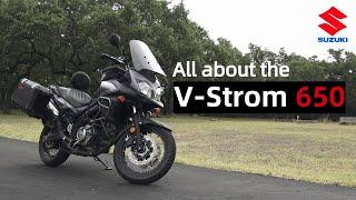 Everything You Need to Know Suzuki V Strom 650