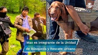 Max el perro que encontró a Caro Quintero para su detención