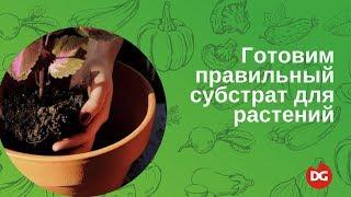 №7 Как приготовить правильный субстрат для растений