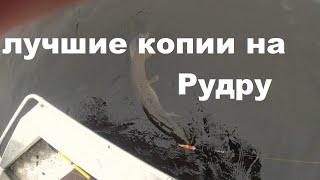 Лучшие копии на Рудру