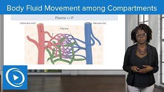 Body Fluid Movement among Compartments – Physiology  Lecturio Nursing