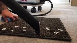 Steam-e Carpet Chewing Gum Removal