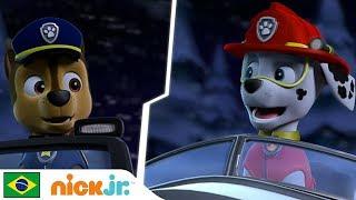 PAW Patrol  Pioneiros Filhotes   Nick Jr.