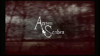 Anson Seabra - The Man She Needs Official Lyric Video