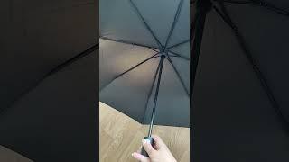 Зонтик Xiaomi Mijia Automatic Umbrella