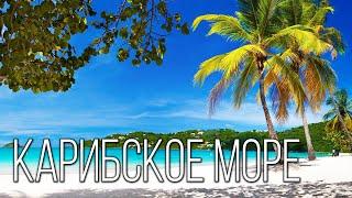 Карибское море Колыбель пиратства  Интересные факты про Карибы