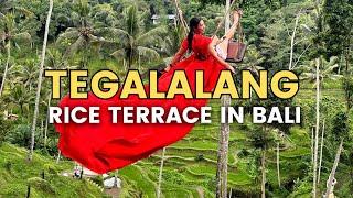 Bali Swing at Tegalalang Rice Terrace Ubud  How to visit the famous Indonesia Bali Swing Rice Field