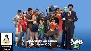 The Sims 2 + mods on Linux Nobara OS