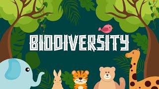What Is Biodiversity? - Definition Types And Importance - Biological diversity - Learning Junction