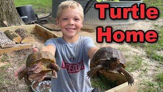 Building Box Turtles a New Outdoor Home