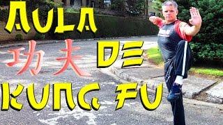 WING CHUN KUNG FU Do O Grande Mestre IP MAN - aula 02 #ArtesMarciais