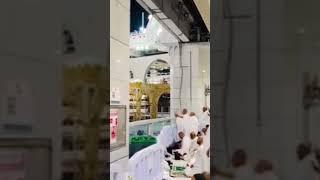 Labaik Allah Huma Labaik  #hajj #friday #talbiya #viralvideo #religion #quran #farzandeislam