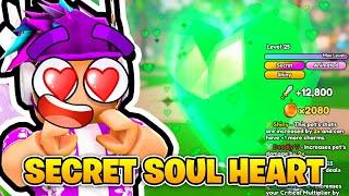 ROBLOX PET CATCHERS I GOT SECRET SOUL HEART PET FINALLY