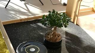 iRobot Roomba 650 im Test - saugroboter-testing.de