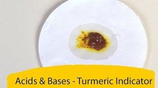 Acids & Bases - Turmeric Indicator  ThinkTac