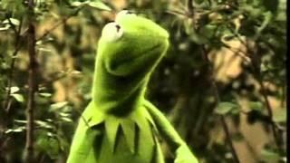 Muppets - Kermit - Its not easy being green original