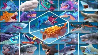 ALL EVOLVED and REGULAR Sharks in Hungry Shark Evolution