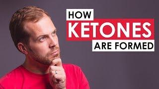 How Ketones are Formed in the Body a simple non-scientific overview