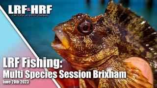 LRF Fishing Multi Species Session at Brixham