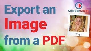 How to get an image out of a PDF using Adobe Acrobat