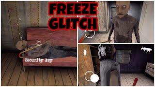 GRANNY CHAPTER 2 - GRANNY AND GRANDPA FREEZE GLITCH