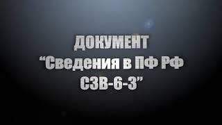 51  Документ Сведения в ПФ РФ СЗВ 6 3