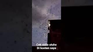 sebagai motifasi para petani walet indonesia