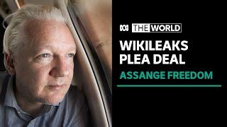 Julian Assange freed from UK prison under plea deal with US Justice Department  The World