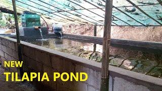 Backyard Tilapia Pond New Design  & Setup - Using Aquaspeed A4000 Submersible Pump