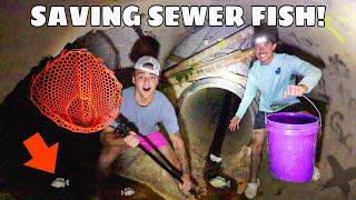 Saving FISH STUCK DEEP Underground scary