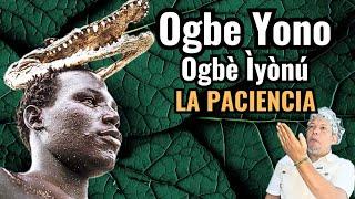  El Secreto OGBE YONO estos CONSEJOS te AYUDARÁ a VIVIRLO OGBÈ ÌYÓNÚ OGBE OGUNDA