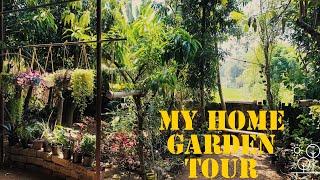 My home garden tour Gardening
