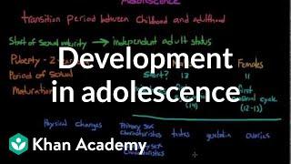 Physical development in adolescence  Behavior  MCAT  Khan Academy