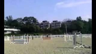 Horse Riding and TRAINING 1