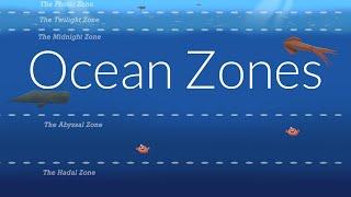 Ocean Zones  Nautilus Live