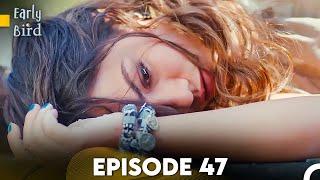 Daydreamer Full Episode 47 English Subtitles