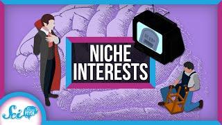 The Science Behind Our Niche Interests  Compilation