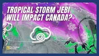 How Tropical Storm Jebi Could Impact Weather in Canada