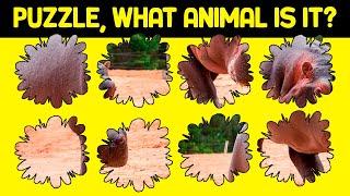 Complete all 30 animal PUZZLES. Can you get it in time?  WIKIFUN