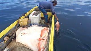 CAREFUL   the target spot for red fish is even the stingray that eats it rage