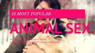 10 Most Popular Animal Sex-Related Internet Search Terms & The Countries Where Its Highly Searched