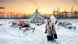 doing home chores in Arctic Cold. Life of women reindeer herders in tundra