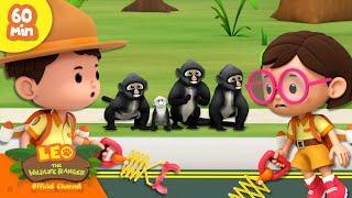  No Monkey Business   Apes Gorillas & more   Leo the Wildlife Ranger  Kids Cartoons