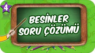 4. Sınıf Fen Besinler Soru Çözümü #2022