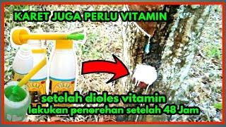 CARA MENGAPLIKASIKAN VITAMIN UNTUK MERANGSANG GETAH KARET MENGGUNAKAN VIKAR